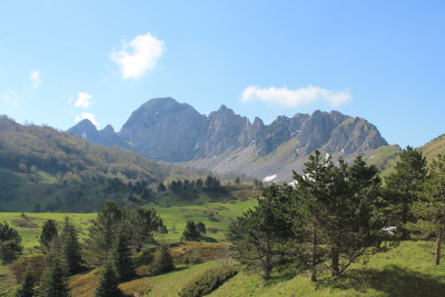 Mt. Zelengora